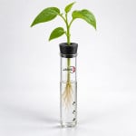 Kit for Demonstrating Root Pressure